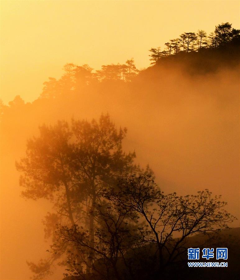 （春季美丽生态）（2）福建武夷山春意盎然 