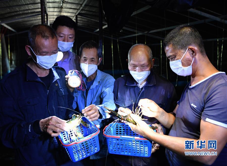 （脱贫攻坚）（2）福建仙游：扶贫产业基地 助力精准扶贫