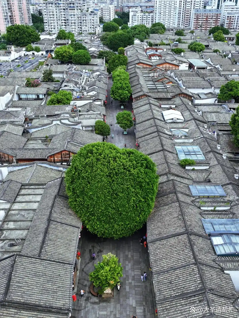 1775201126682810.png d53f8794a4c27d1ea1c22316f3dfe77fdcc43813.webp.png