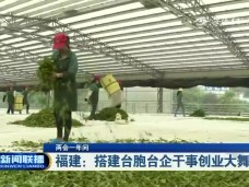 福建新闻联播
