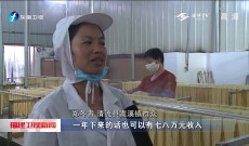 福建卫视新闻
