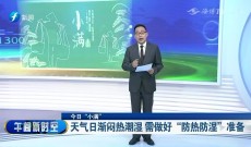 新闻午报