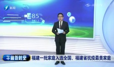 新闻午报