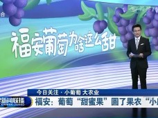 福建新闻联播