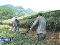 福建新闻联播