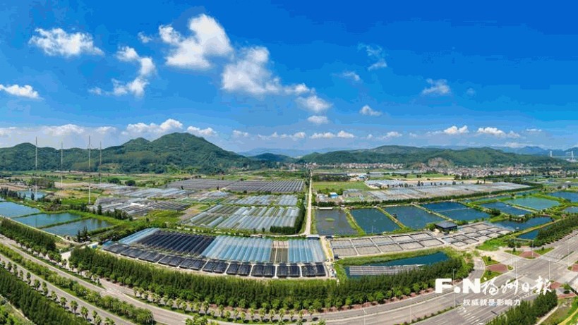 福州农业农村“半年报”出炉