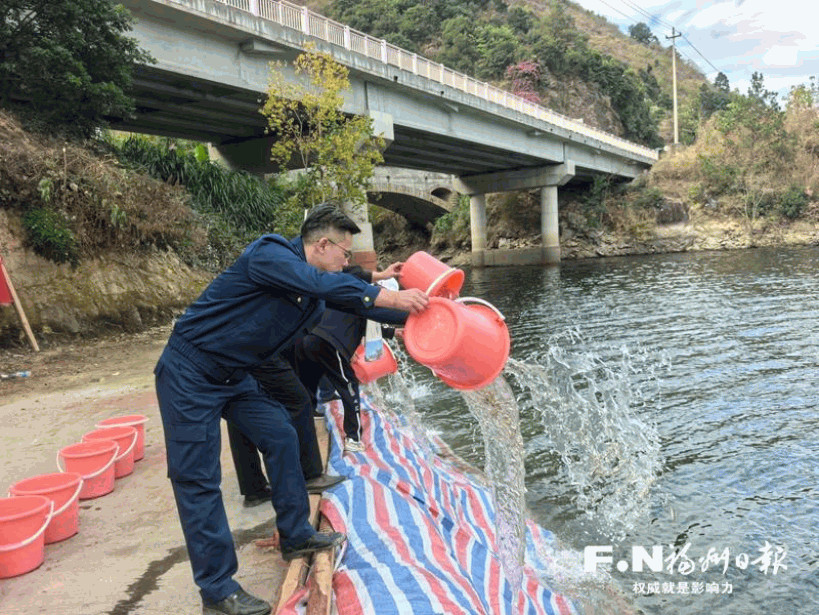 161万尾翘嘴鲌和香鱼昨日放流闽江
