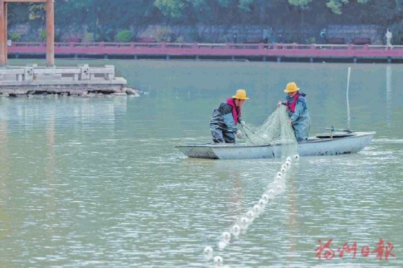 福州西湖片区水生态系统加速构建