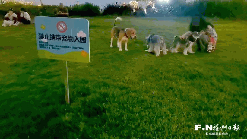 福州城市养犬管理条例迎来首次执法检查